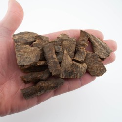 Black Kynam Kyara from Hainan