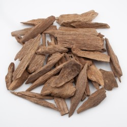 Wild Agarwood Oud jungle...