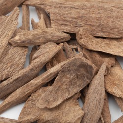 Oud Ambon Seram Sauvage