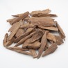 Oud Ambon Seram Sauvage