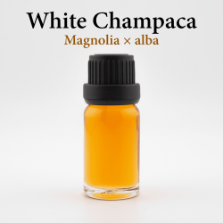 Champaca Blanc Huile