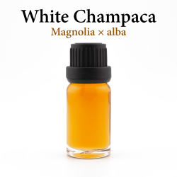 Champaca Blanc Huile