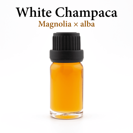 White Champaca Oil